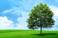 New Life